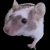 :iconblurrr: