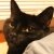 :iconblushmerry: