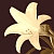 :iconblutigelilie: