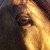 :iconblutlimette: