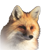 :iconbluufox: