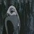 :iconblyss-out: