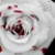 :iconblythen: