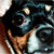 :iconbmarshall0511:
