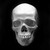 :iconbmedphoto: