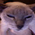 :iconbmman007: