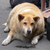 :iconbmoot88:
