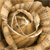 :iconbmwremixed: