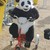 :iconbmxpanda: