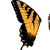 :iconbnelogo1: