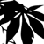 :iconboabyanderson: