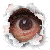:iconboardy: