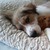 :iconbob-joe-and-who: