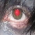 :iconbob-the-hippie: