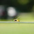 :iconbob-the-stickman: