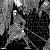 :iconbob-ym3: