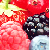 :iconbobbanat: