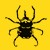 :iconbobby-brown: