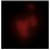 :iconbobby555saxman: