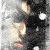 :iconbobcow: