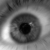 :iconboberr: