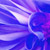 :iconbobiscool411: