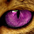 :iconbobshadow: