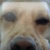 :iconbobthedog007: