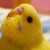 :iconbocadanoite: