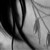 :iconBodicca: