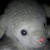 :iconbodyba: