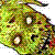 :iconbodygraffixtattoo: