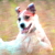 :iconboffin111: