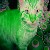 :iconboffit:
