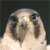 :iconbogeyman7: