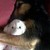 :iconbogyoka29:
