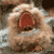 :iconbogyphobia: