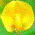 :iconboicot: