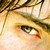 :iconboiteareves: