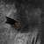 :iconboke78: