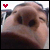 :iconbolas-sama: