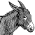 :iconboldewyn: