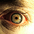 :iconbolhascratchy: