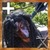 :iconbomber-marc: