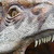 :iconbombinglizard: