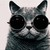 :iconbonaggy: