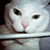 :iconbonaprawde: