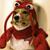 :iconbonbonthefireelf: