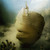 :iconbone-apart:
