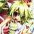 :iconbonfur: